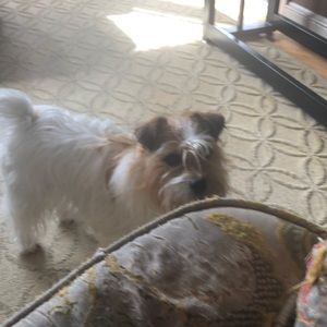 Meet your Posher, Margaret